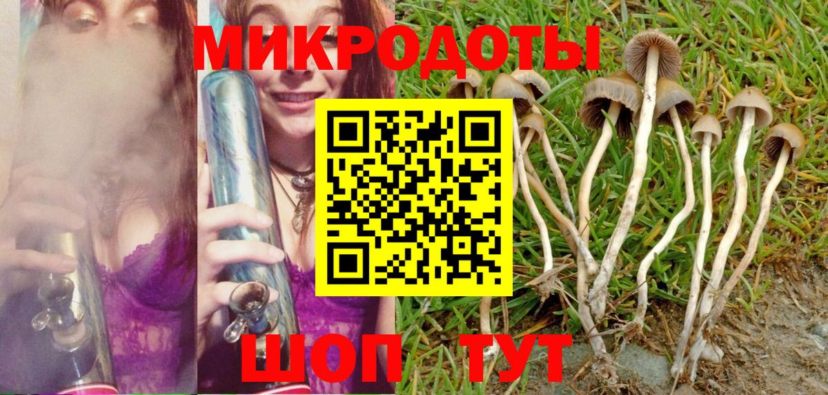Галлюциногенные грибы GOLDEN TEACHER Сухой Лог